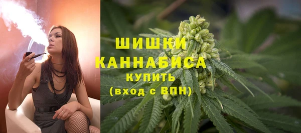 спиды Новозыбков