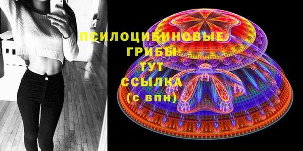 молекула духа Нефтегорск