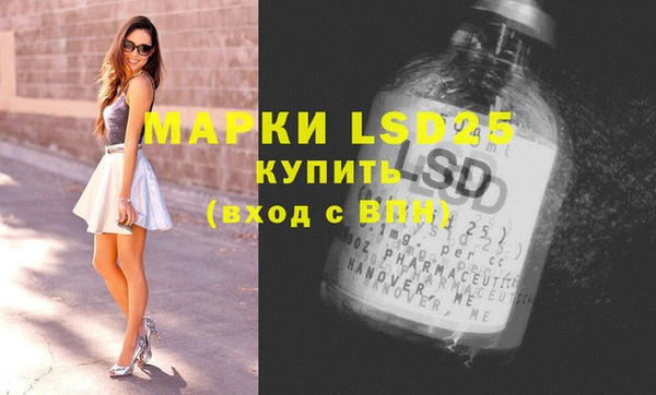 spice Новодвинск