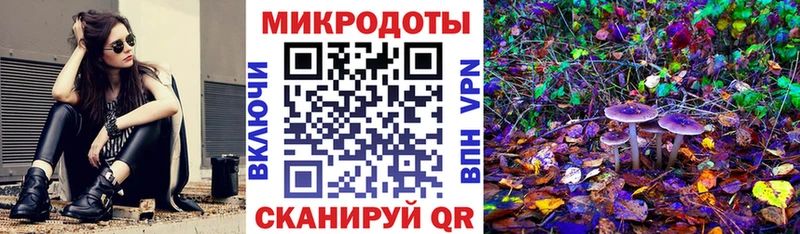 Галлюциногенные грибы Psilocybine cubensis  kraken вход  Приморско-Ахтарск 