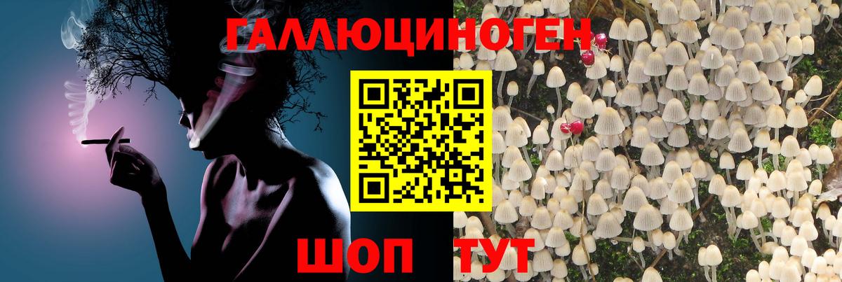 Галлюциногенные грибы Magic Shrooms  Псилоцибиновые грибы мухоморы  Приморско-Ахтарск  Вход с VPN 