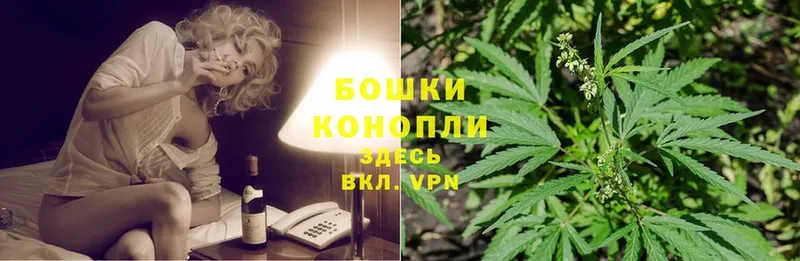 Конопля Ganja  Приморско-Ахтарск 